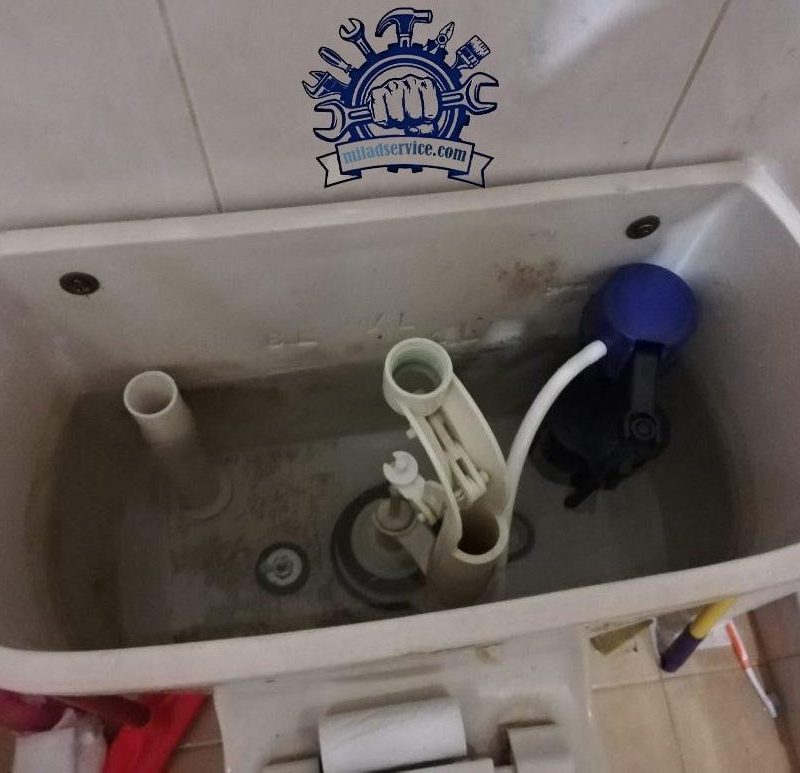 Toilet tank flush before